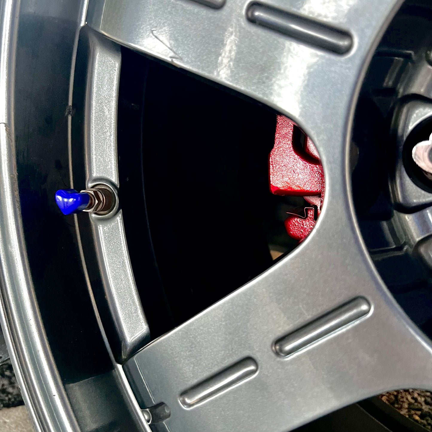 Heart Valve Caps - Ultramarine