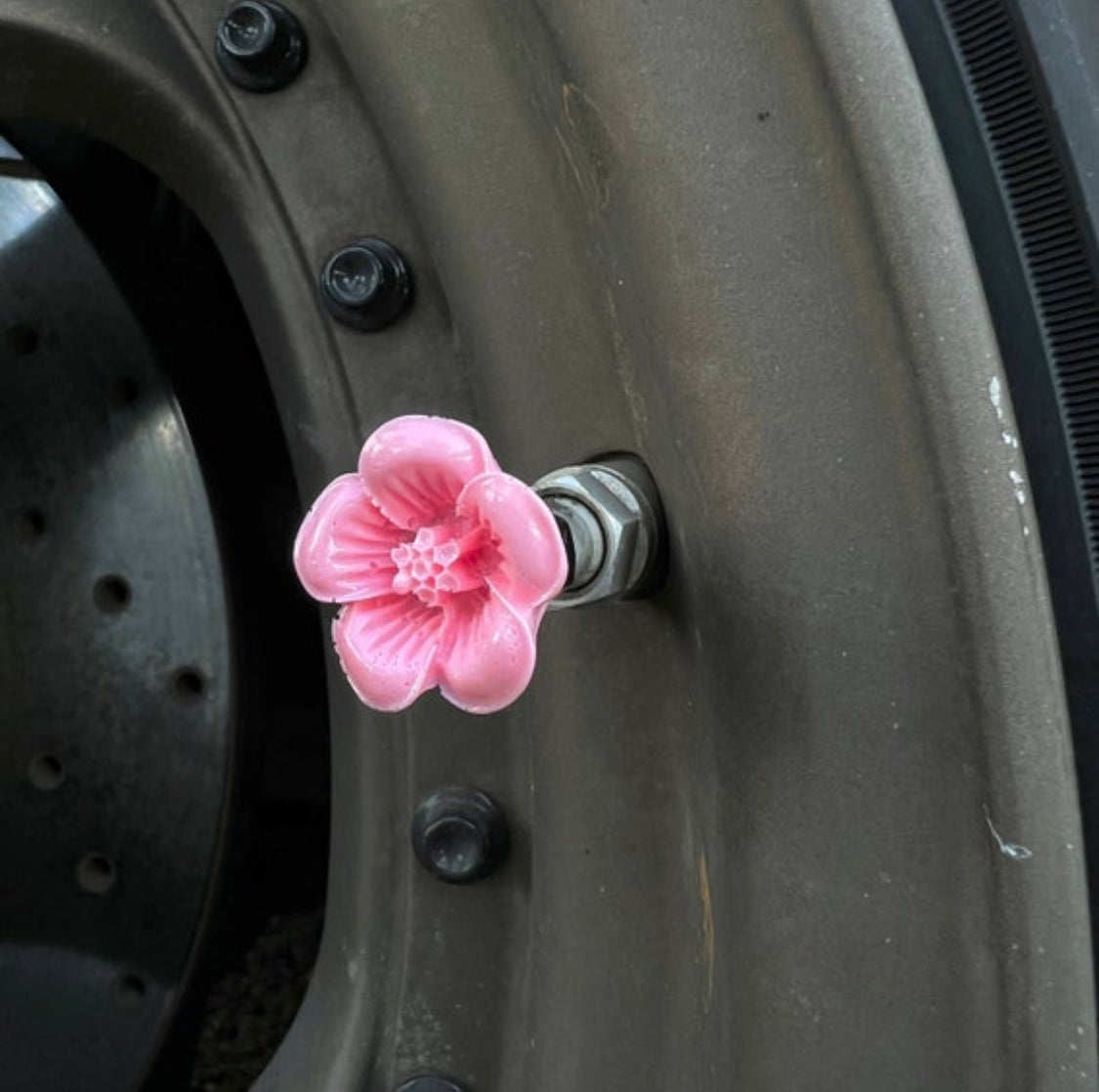 Cherry Blossoms Valve Caps