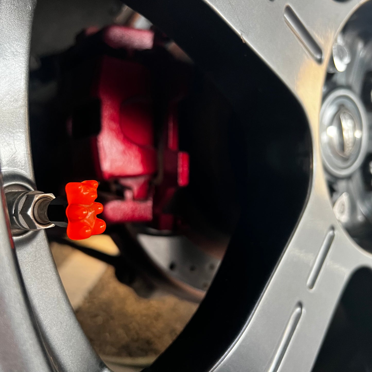 Bear Valve Caps